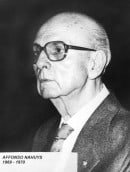 Affonso Nahuys